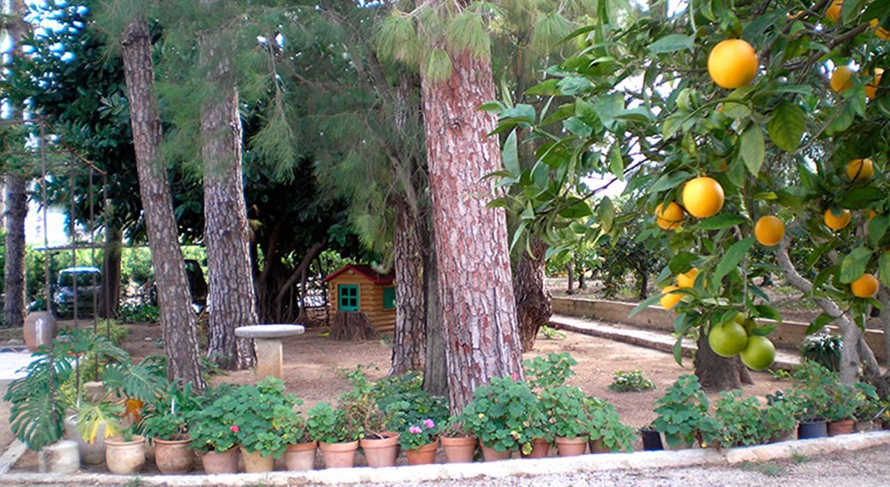 El Sequer Casa Rural Oliva Ngoại thất bức ảnh